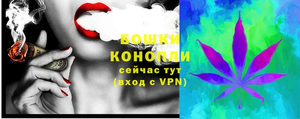 гашик Нягань