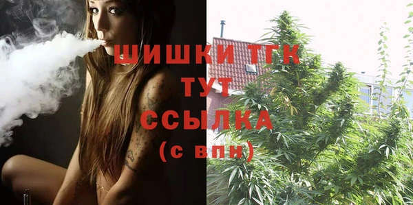 экстази Няндома