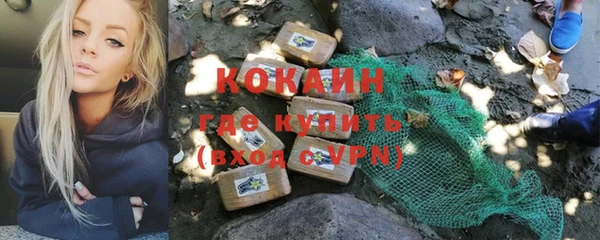 гашик Нягань